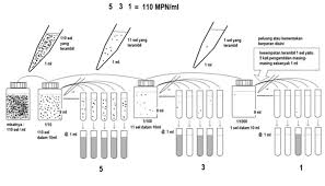 BIOLOGI I: LAPORAN PRAKTIKUM MIKROBIOLOGI UMUM PERHITUNGAN SEL BAKTERI ...