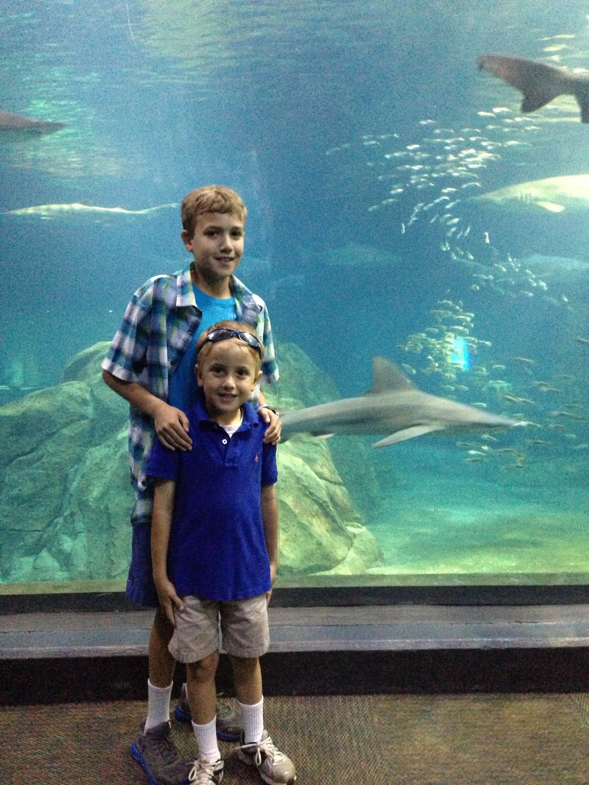 Visiting Adventure Aquarium in NJ