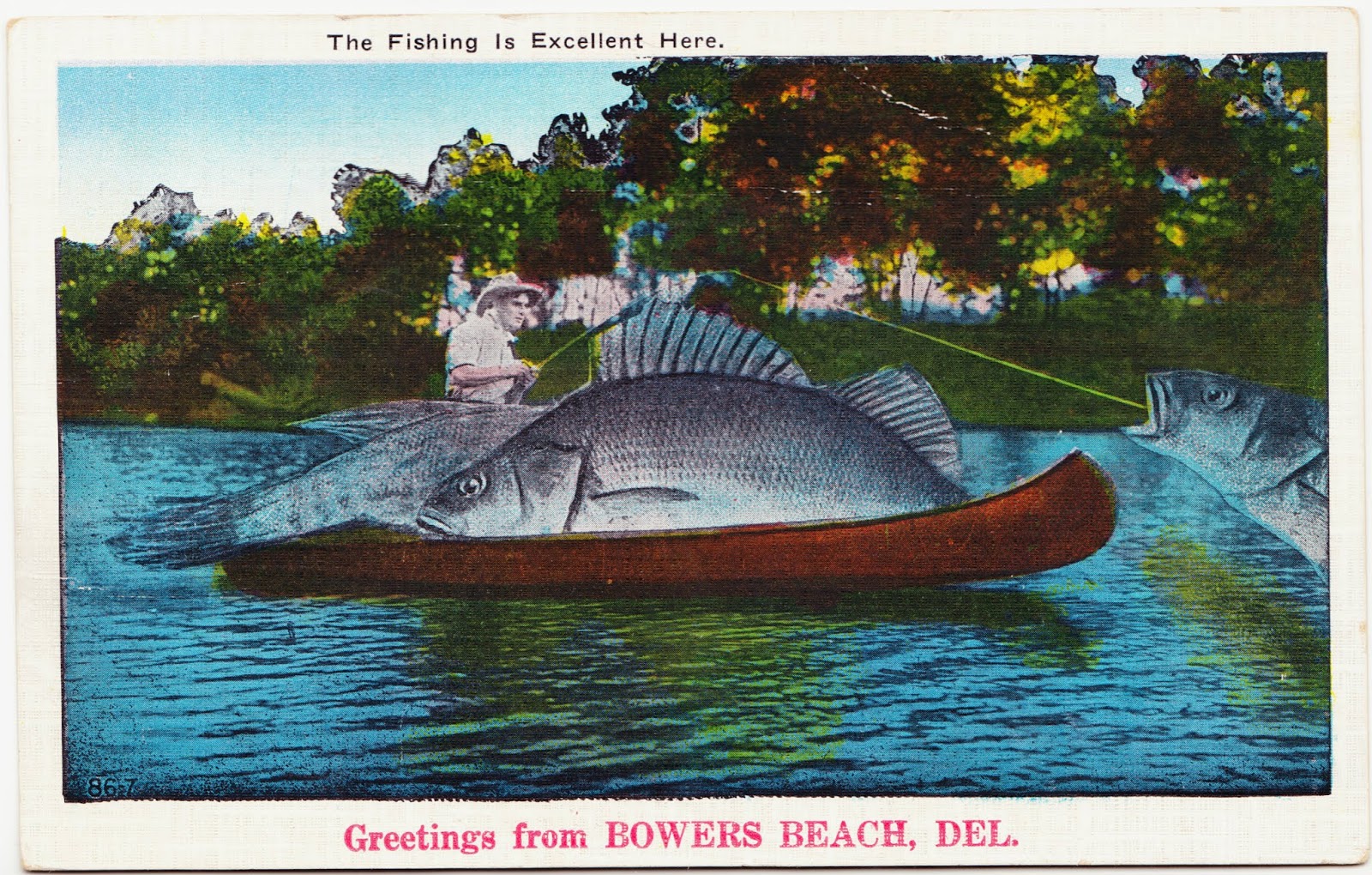 Papergreat 1936 Fishing Adventure The Water Couldn T Of Been Much Pre Printed Text On The Front Of This Exaggerated Postcard Featuring A Huge Fish Fishing Is Excellent Here And Greetings From Bowers Beach Del