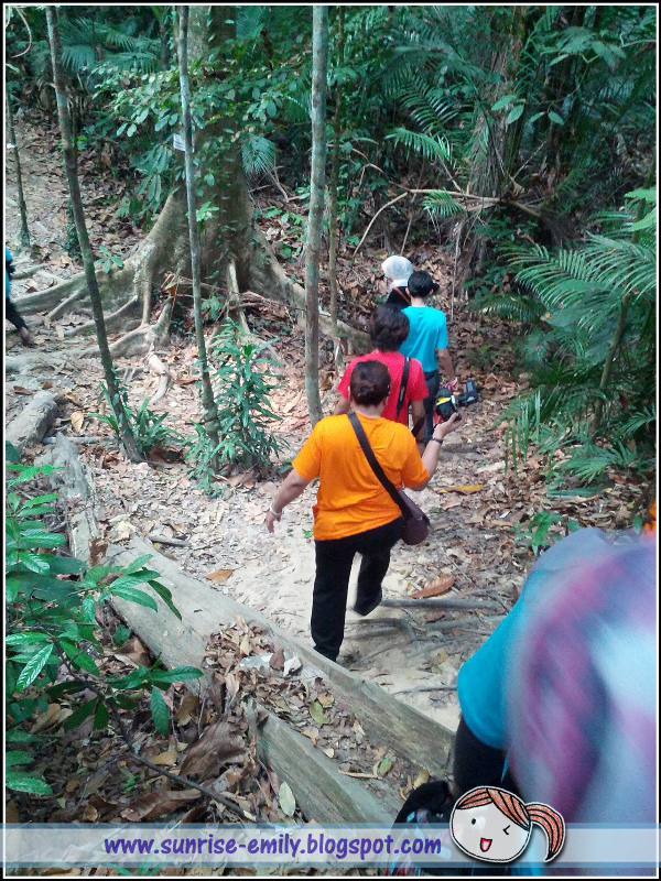 Hutan Rekreasi Tanjung Tuan