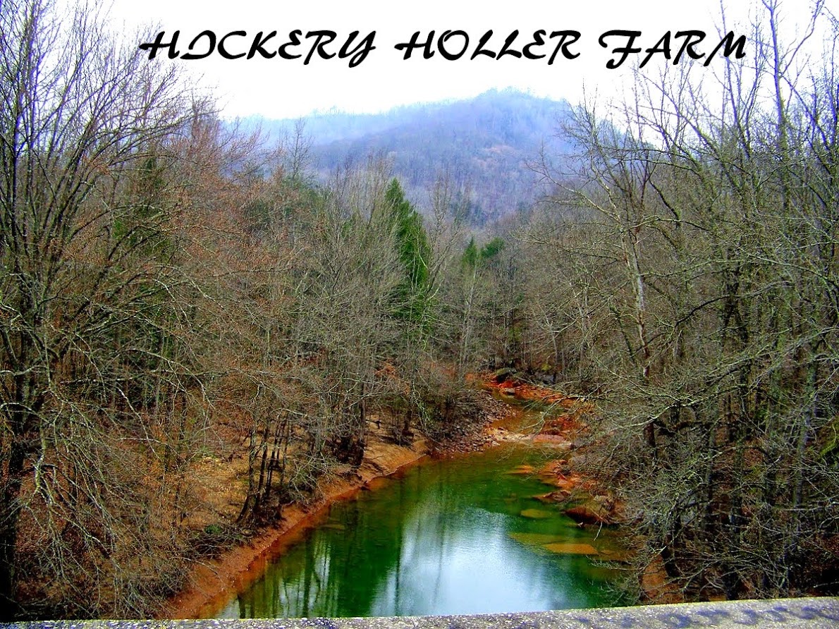 Hickery Holler Farm