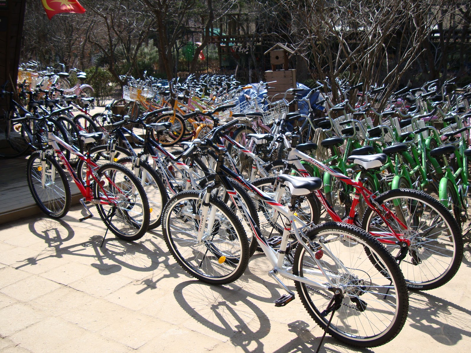 Kris and Ria visit Korea 2011 Namiseom (Nami Island)