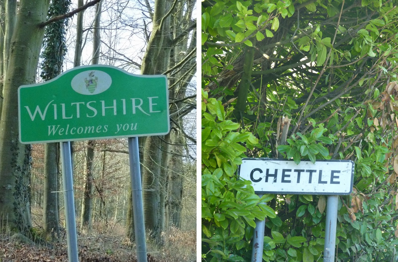 365 Days. Chettle. Dorset Life.