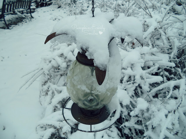 Pineapple bird feeder covered in snow