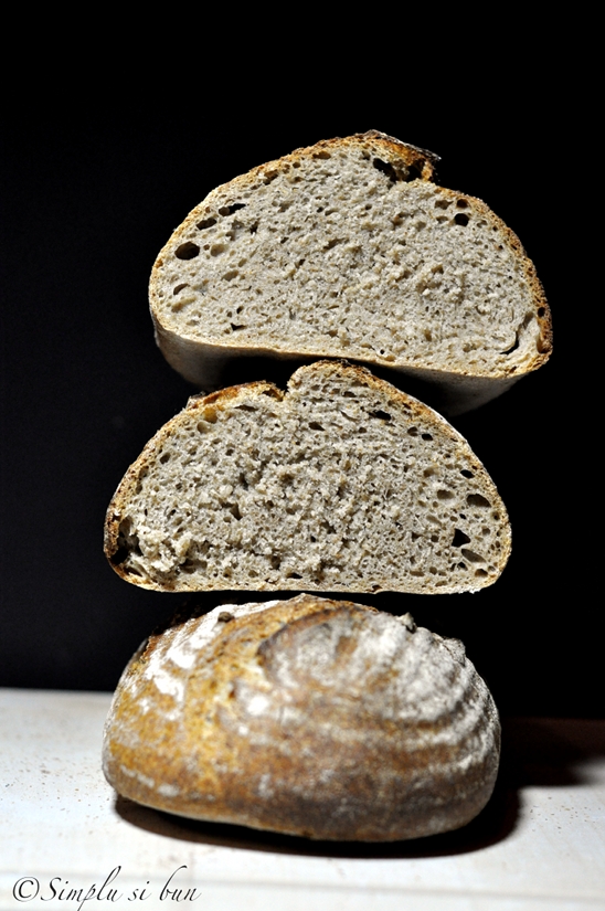 Paine spelta 100% cu maia