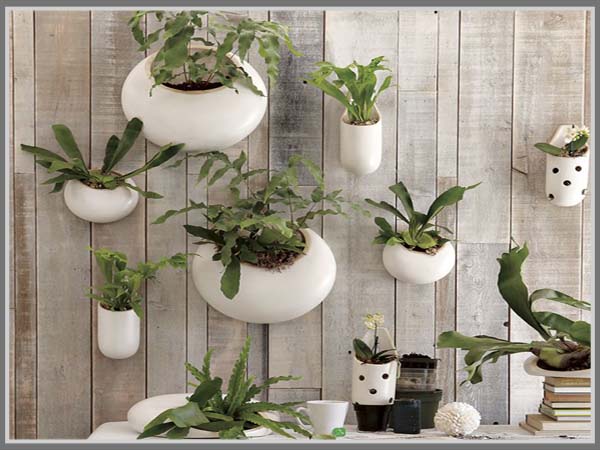 50 Kreasi Unik Pot Tanaman Hias Di Taman Rumahku Unik