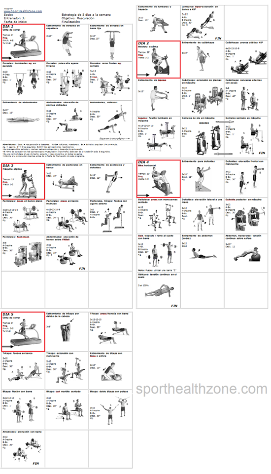manual de rutinas de gimnasio pdf
