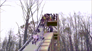 giant multiple person adult slide in forest