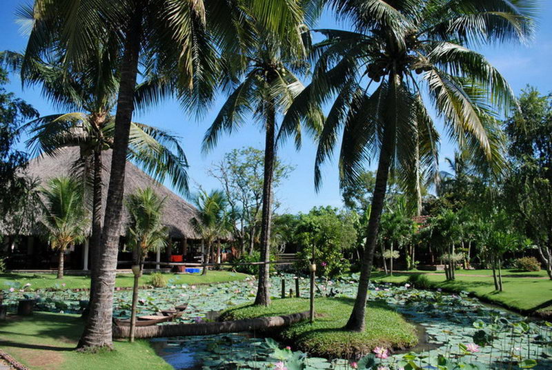 Phong cảnh sân vườn mát mẻ tại Mekong Restop