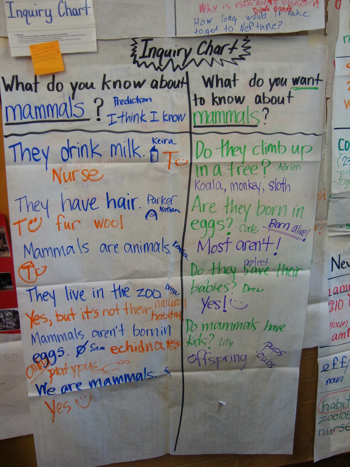 Inquiry Chart Glad 