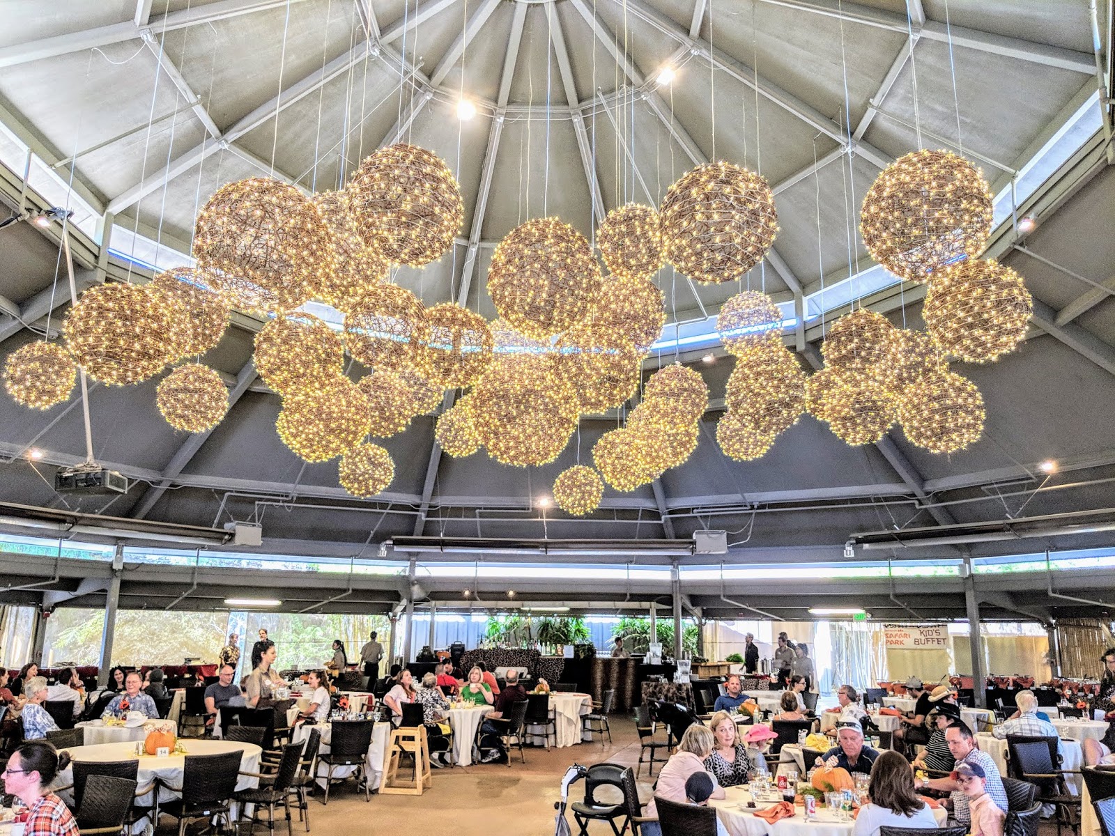 enjoy a fine dining thanksgiving feast at the san diego zoo safari park