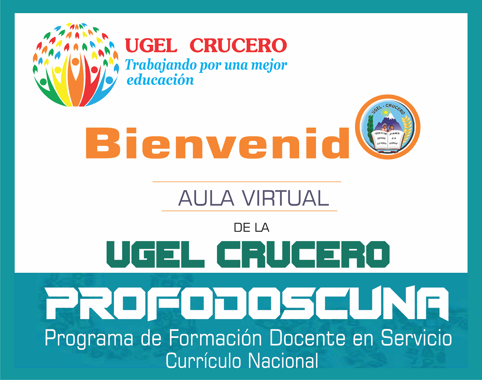 AULA VIRTUAL