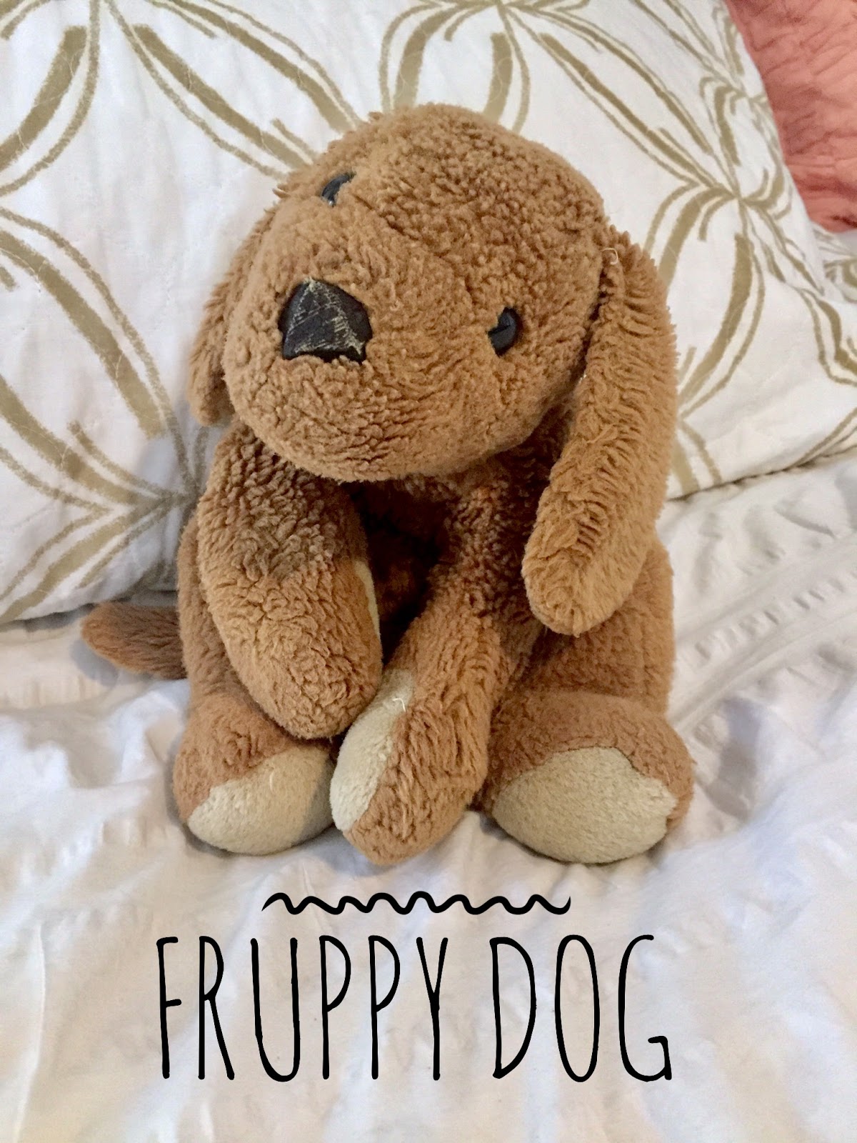 The Bloom Blogger I Still Sleep with a Stuffed Animal