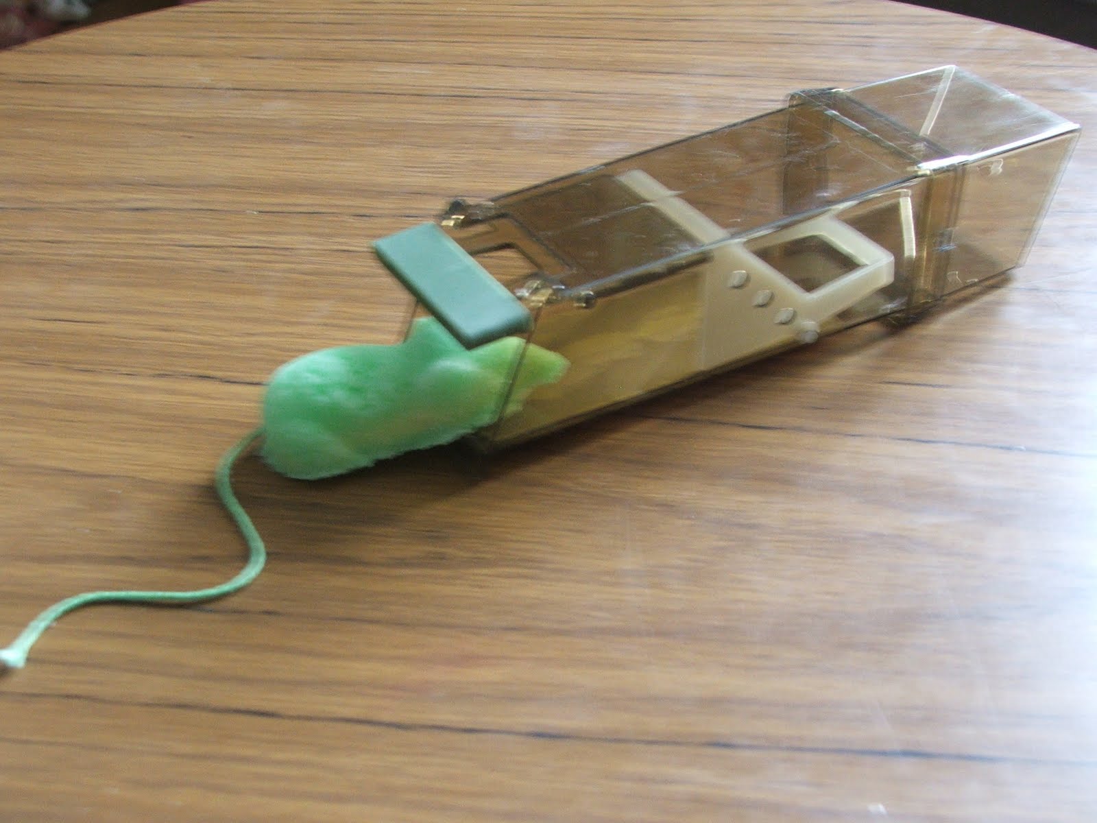 my VegaNation New Batch of Humane Mouse Traps and Look What We Caught!