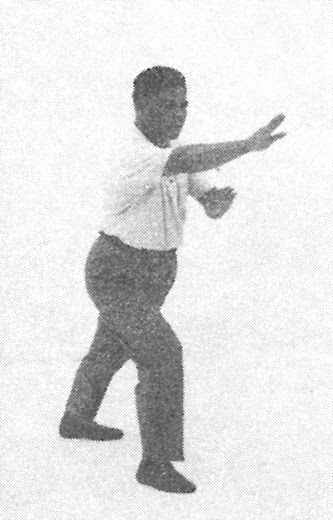 Tai Chi Chuan (Square Form) 52. Step Back To Strike The Tiger