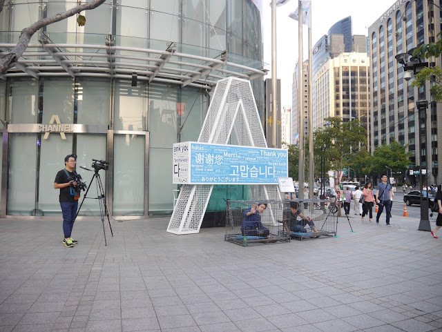 2015,summer 於是我就在韓國了 Day16