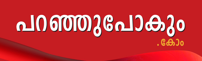 പറഞ്ഞു പോകും..!!