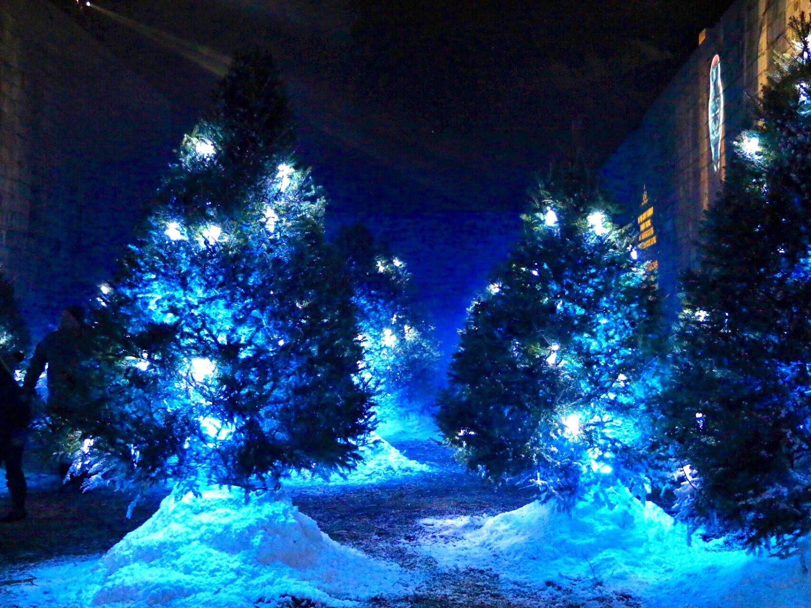 the-staycationer-top-5-fun-winter-date-ideas