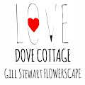 LOVE Gill Stewart Flowerscape