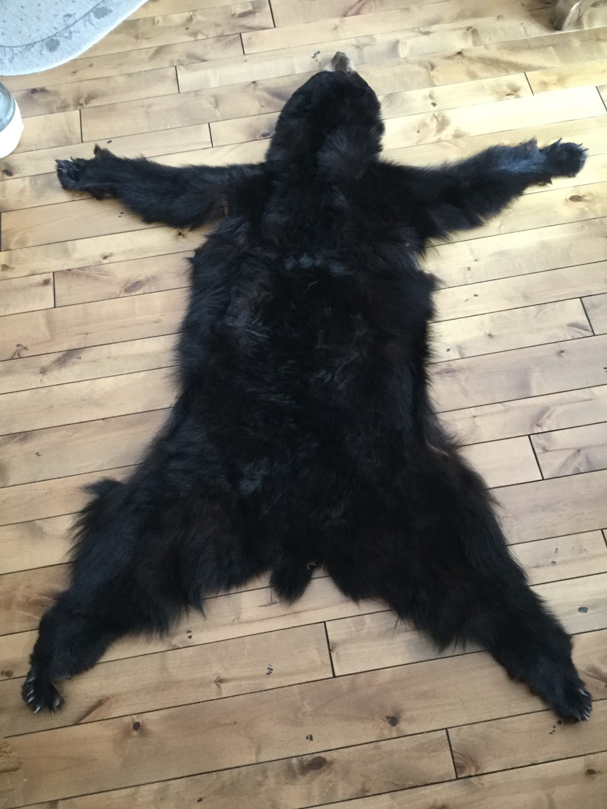 BEARS4U: A REAL Fur BEAR