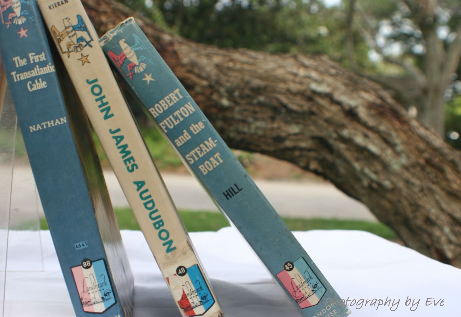 Celebrate Simple Live History with Landmark Books Part I