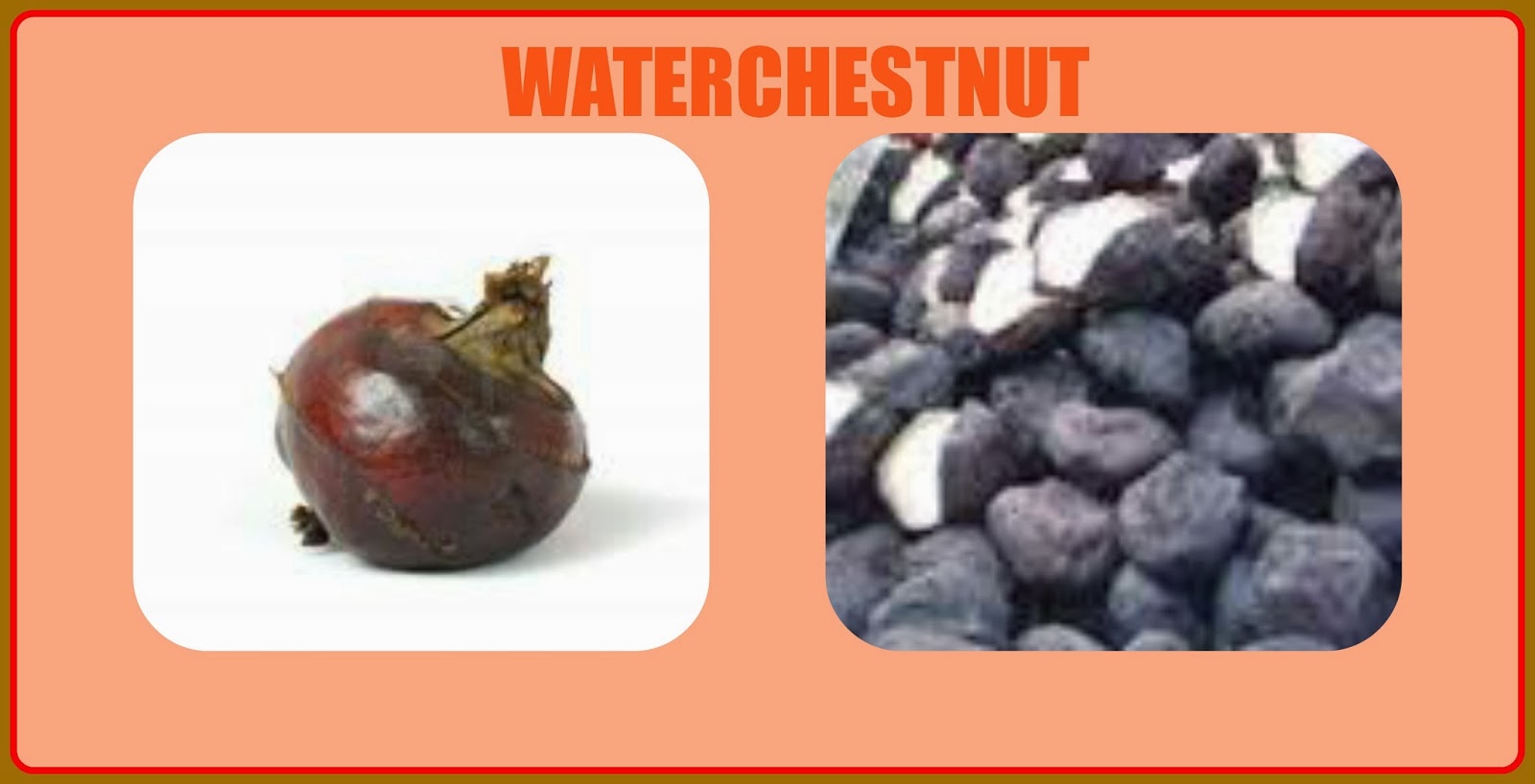 USHA'S KITCHEN What Are Water Chestnuts?