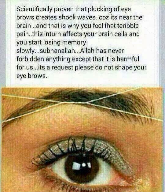 Confessions of a Closet Republican Joke of the day Why Plucking