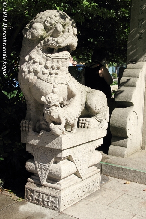 Descubriendo hojas: El Jardín Chino Lan Su de Portland. #gbfling14