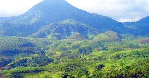 Jalur Pendakian Gunung Bukit Tunggul | Pengetahuan Wisata Gunung Indonesia