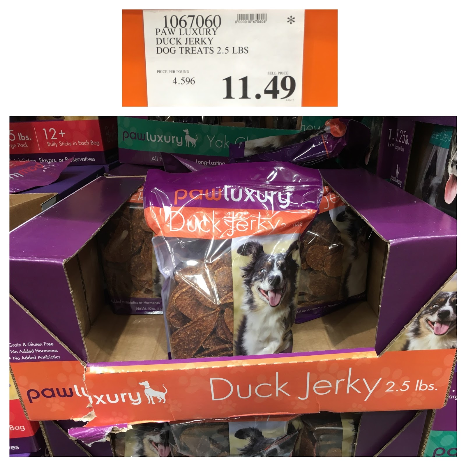 the Costco Connoisseur Buy Your Pet Supplies at Costco!