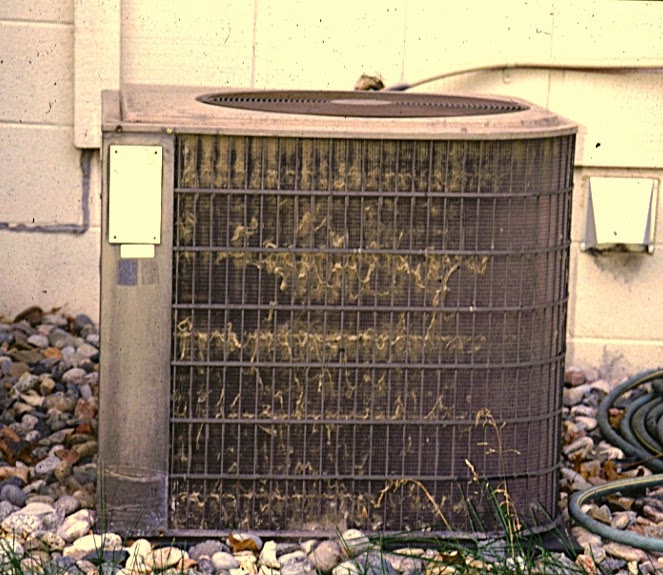 Los Angeles Air Conditioning Are Leaves In My Air Conditioner Bad?