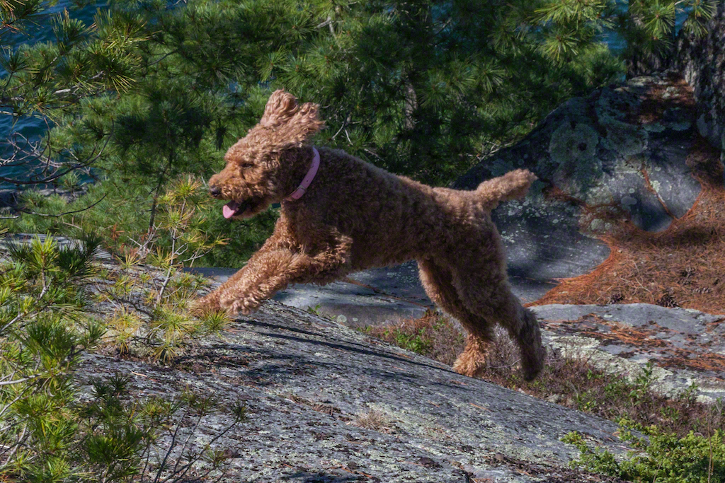 defying gravity defying gravity