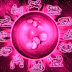 Horoscope: May 5, 2018 What do you say your amount of today?
| Timesok.com