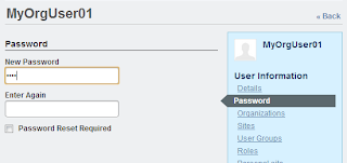 Updating Liferay user password