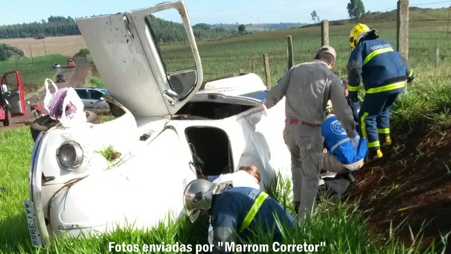 Caminhão atropela e mata cavalo na Rodovia Florindo Picoli