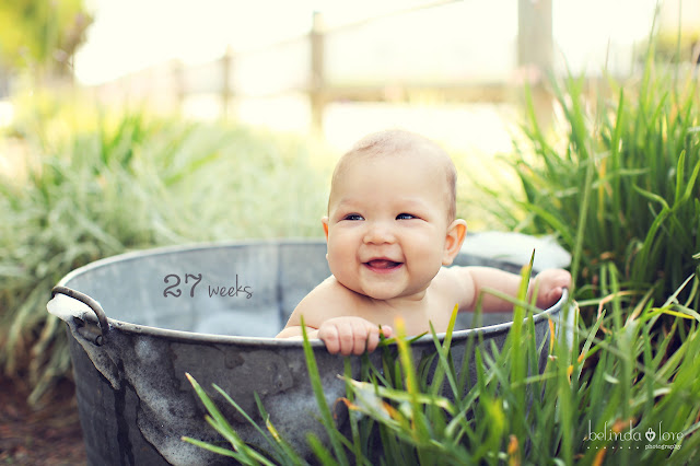 Belinda Love Photography Blog: Someone is 7 months. What?