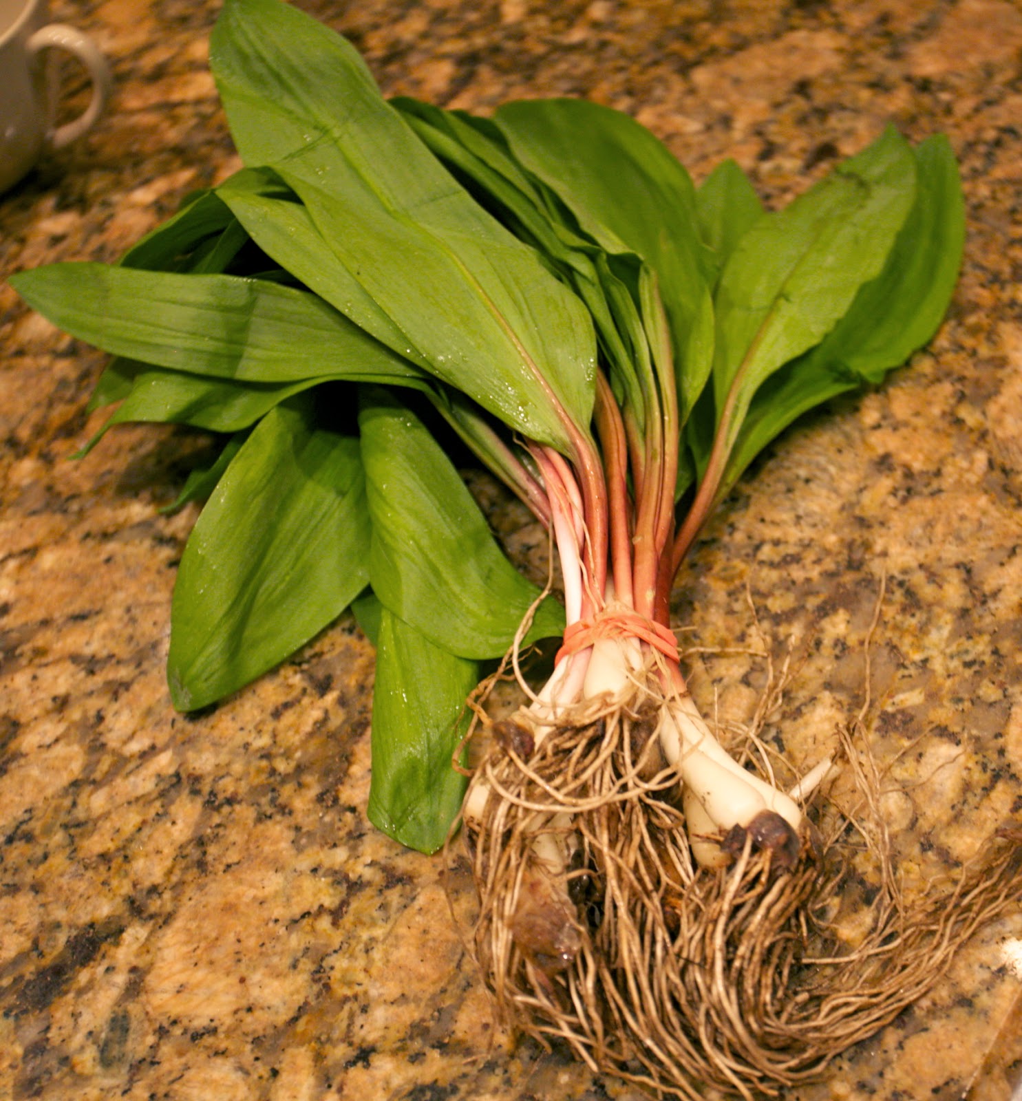 Ramps