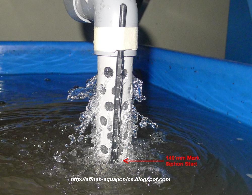Affnan's Aquaponics Water Usage Gauge How Many Fish And Affnan's Aquaponics Water Usage Gauge How Many Fish And
