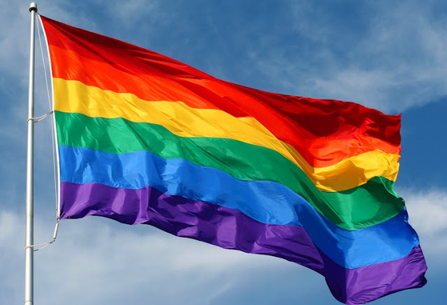 La bandiera arcobaleno al Moma