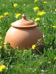 Gartenkunst oder Wege nach Eden: Shop