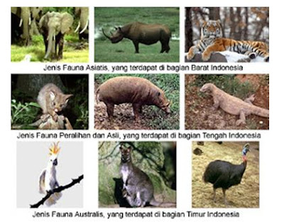 Dibawah Ini Kelompok Organisme Yang Termasuk Dalam Tingkatan Keanekaragaman Gen Jenis Dan Ekosistem Blog Pak Pandani