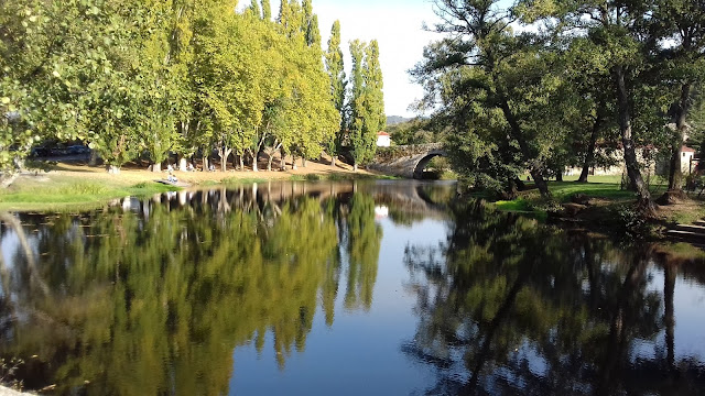 REFLEJOS EN EL RÍO