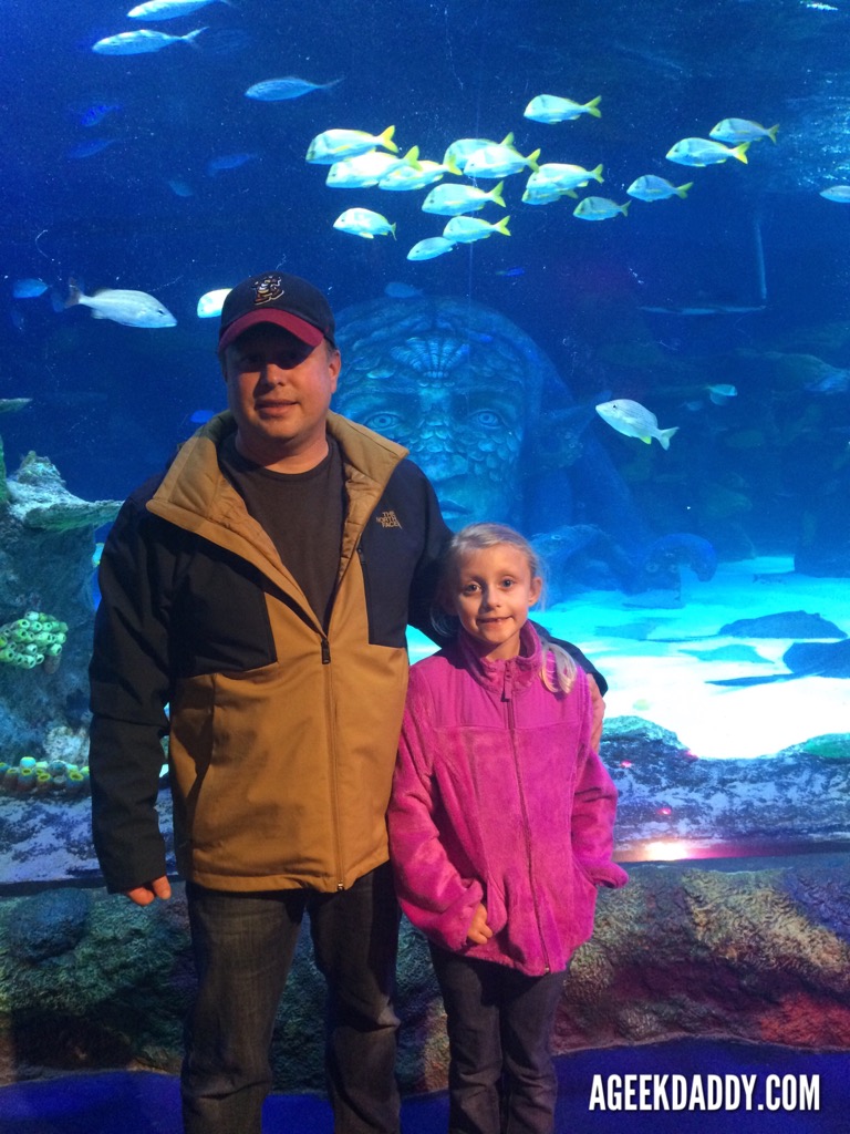 A GEEK DADDY: National Geographic Kids: ULTIMATE OCEAN-PEDIA