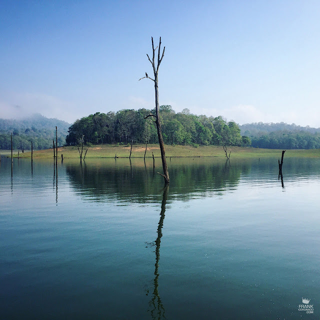 santuario Periya en Kerala India