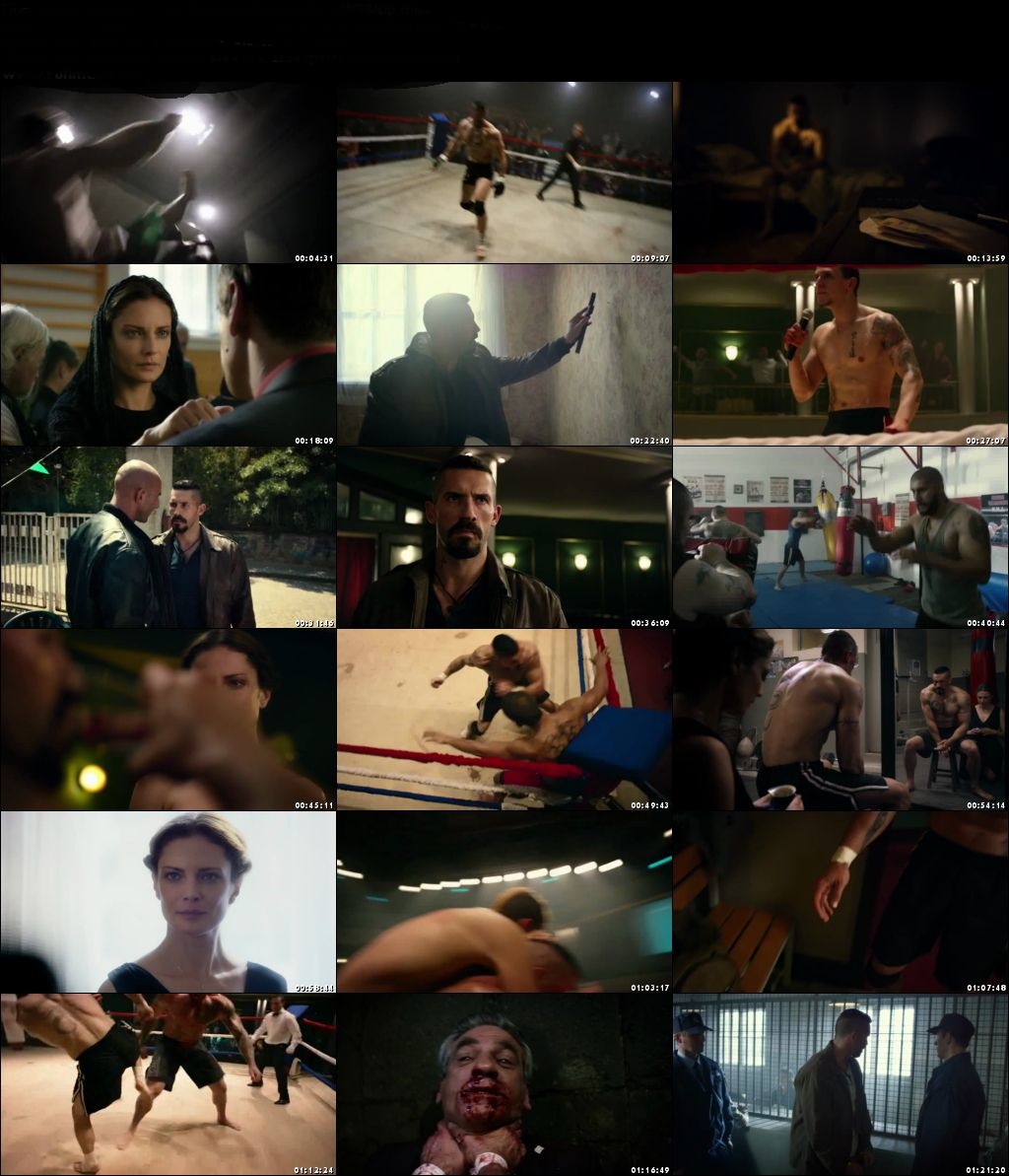 download film boyka undisputed 1 sub indo download film boyka undisputed 1 sub indo