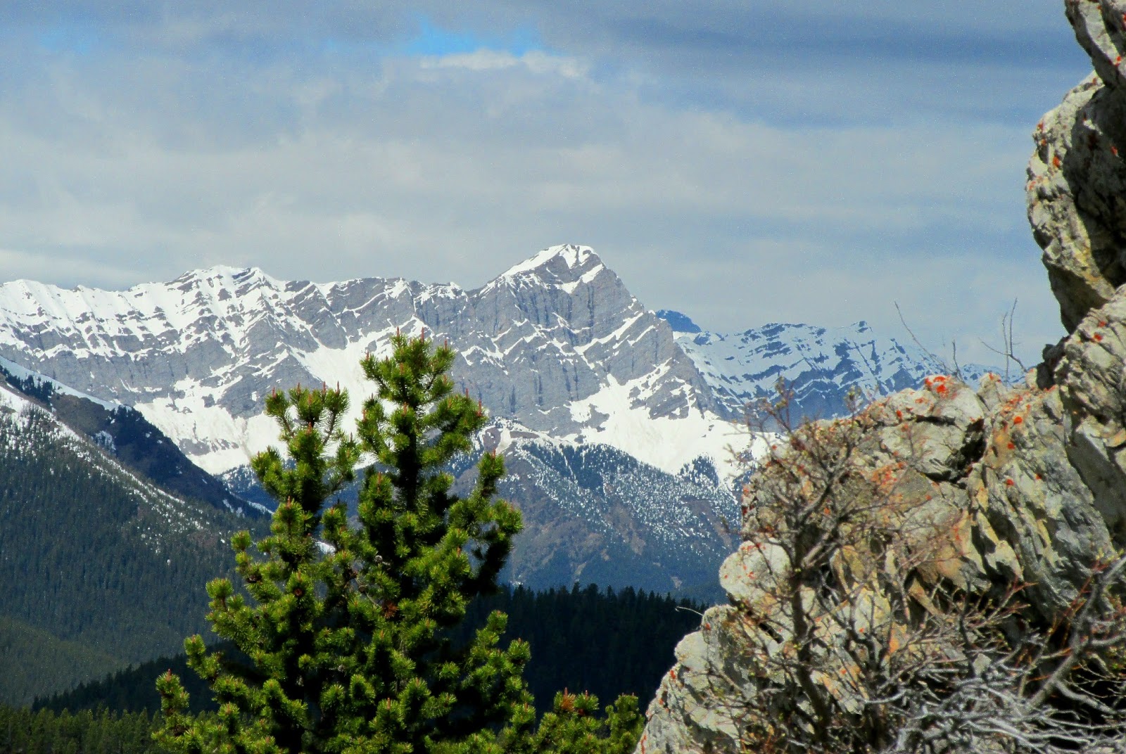 The Passionate Hiker: Lineham Ridge