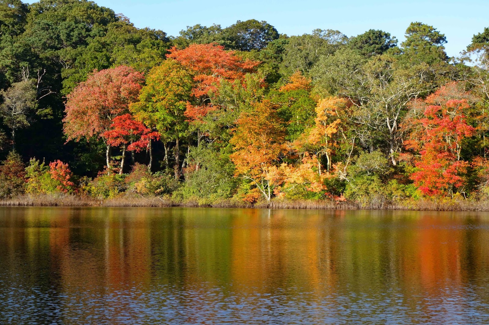 Joe's Retirement Blog Rabbit Pond Revisited, Manomet, Plymouth