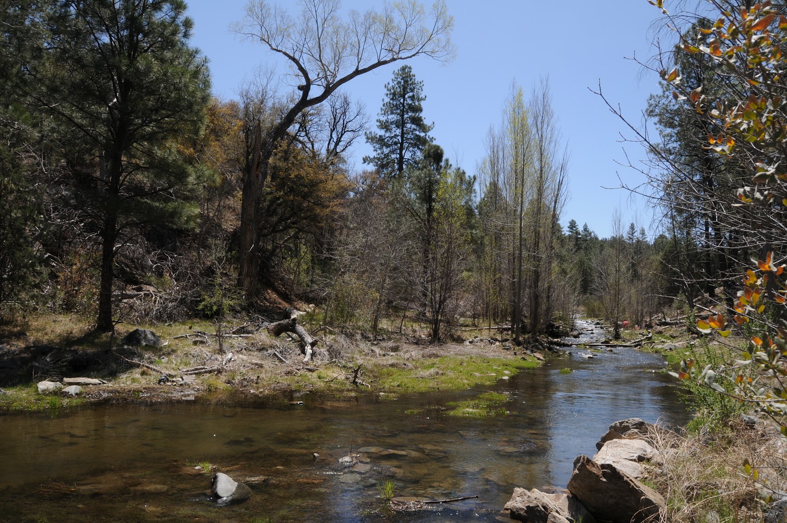 Arizona Hiking Liquid gold of the backwoods