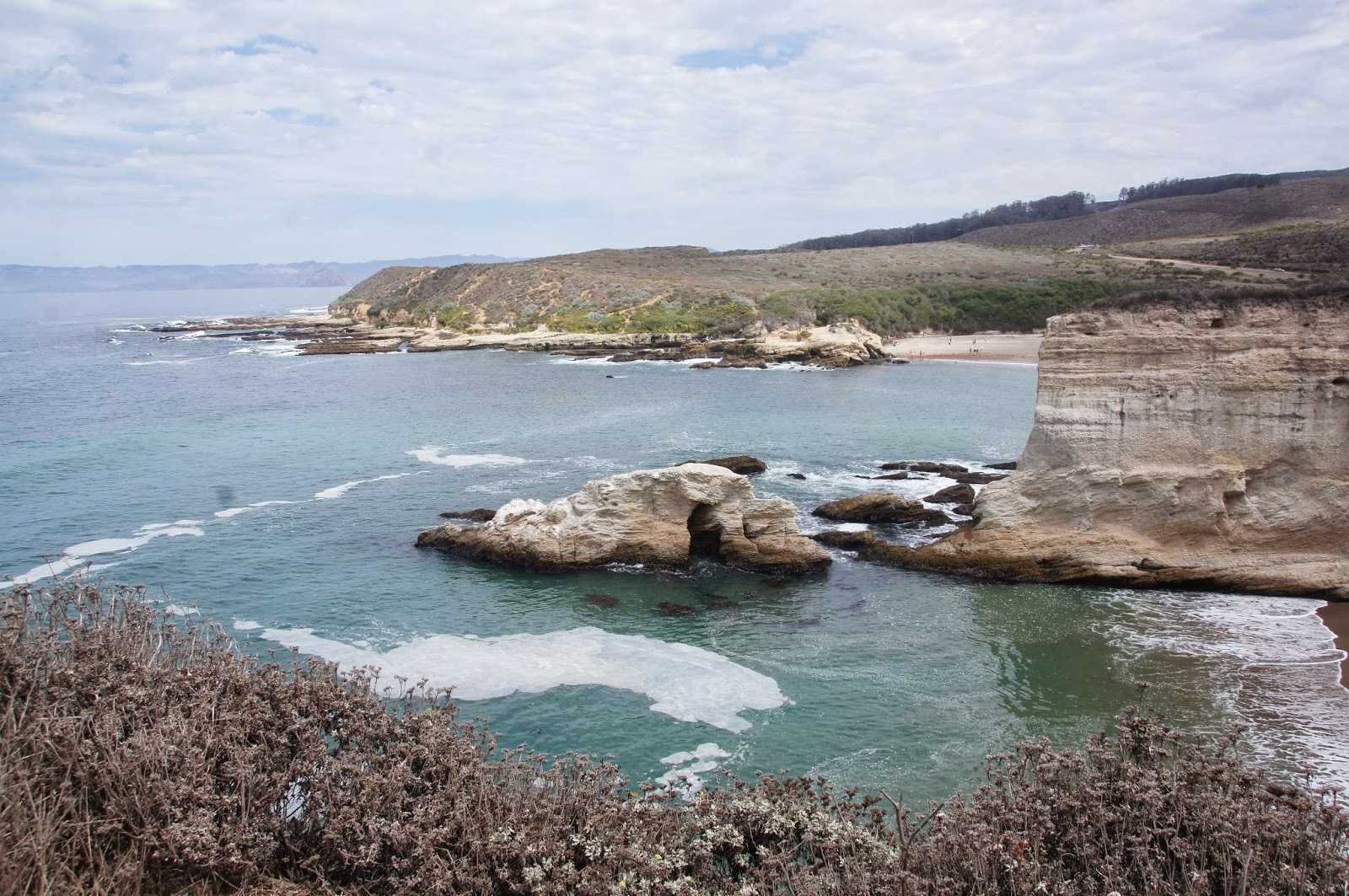 Mamma Quail Hiking California TidePooling at Montaña De Oro State Park