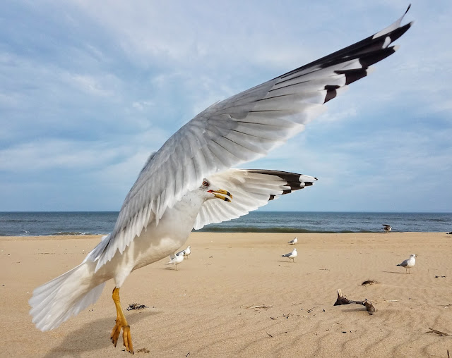 Top 10 Places in Virginia Beach for the Best Instagram Pictures